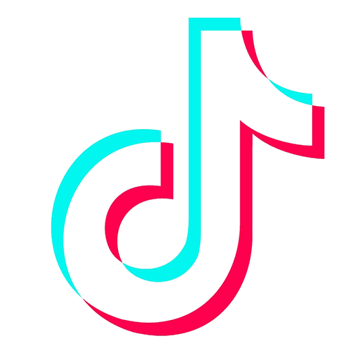 TikTok icon